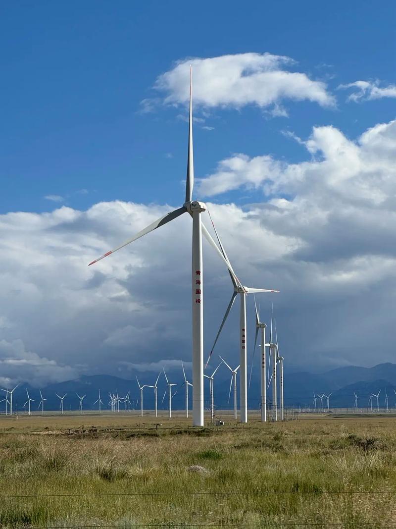 西北风力发电站项目